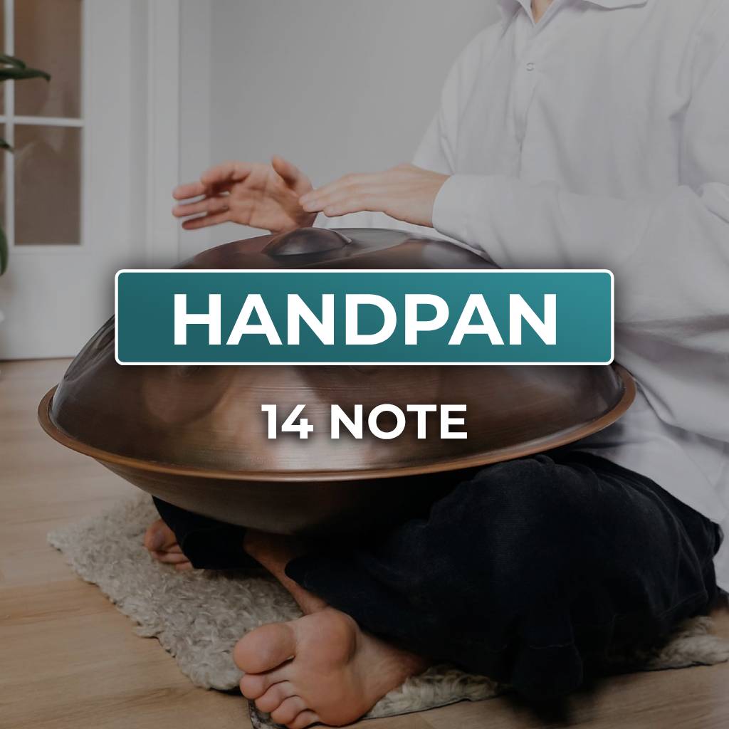 handpan in vendita, handpan vicino a me, negozio di handpan, handpan 14 note